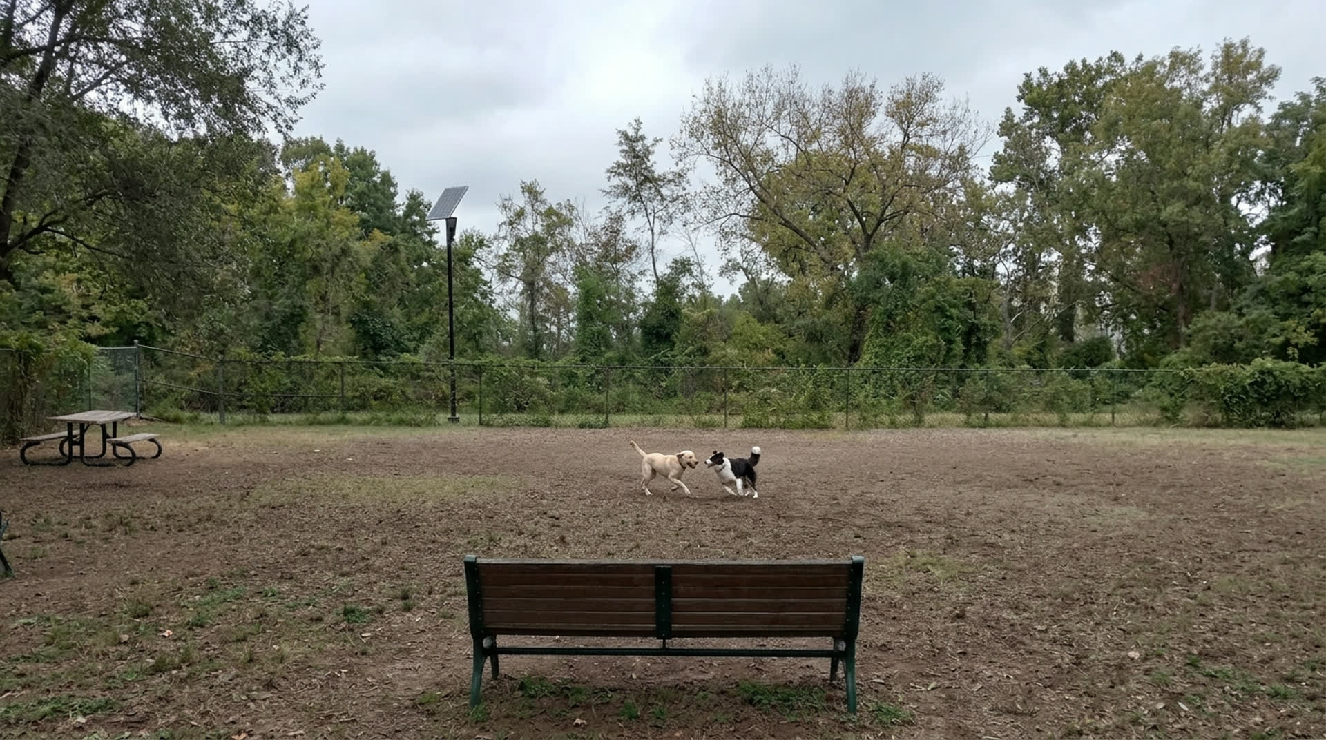 Ben Brenman Dog Park
