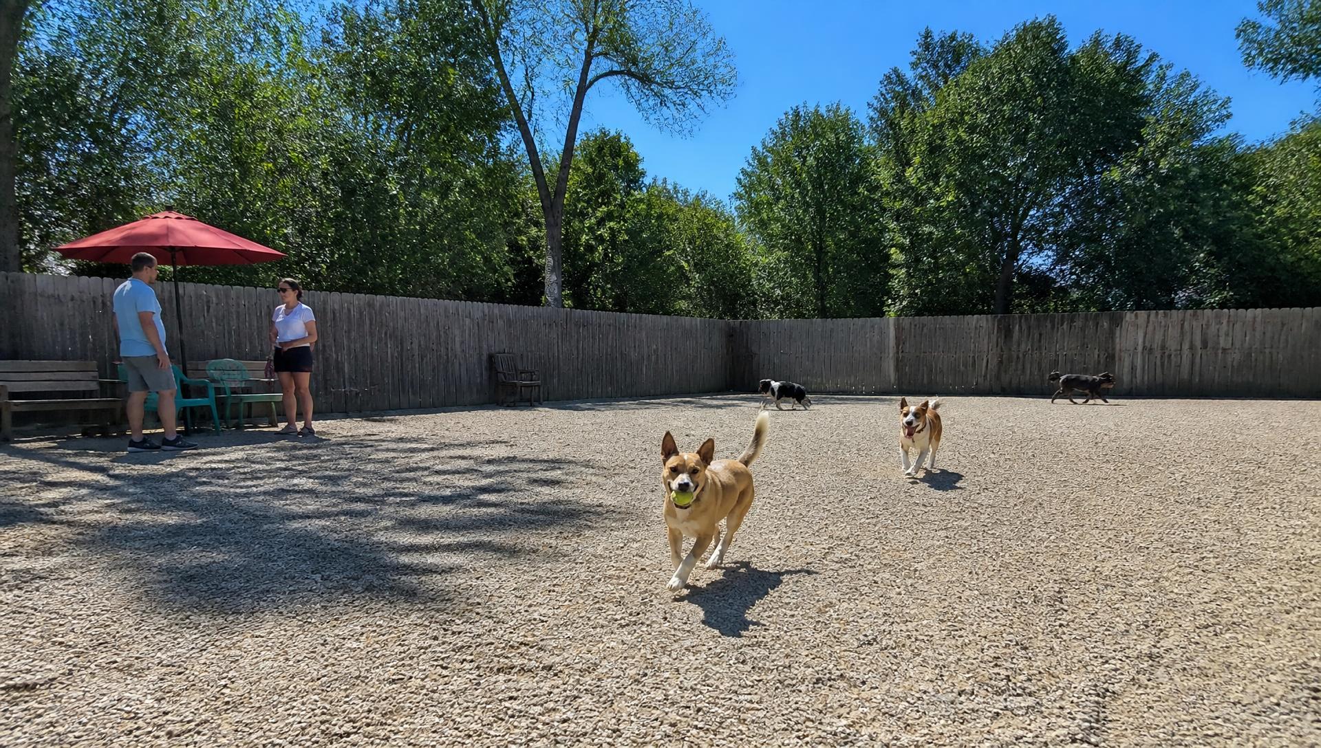 Fort Ethan Allen Dog Park